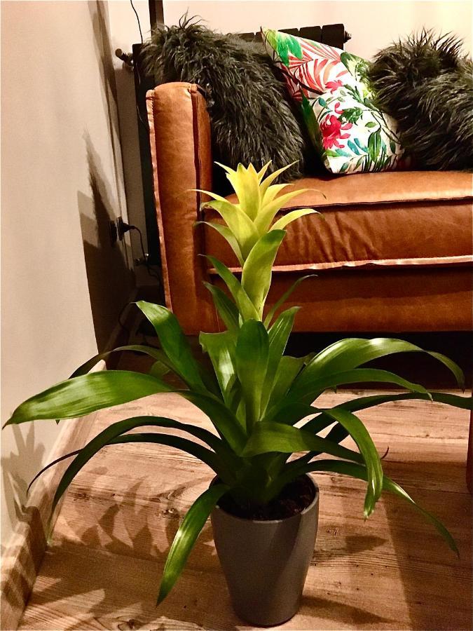 Goose House Luxury Holiday Home 苏特里 外观 照片